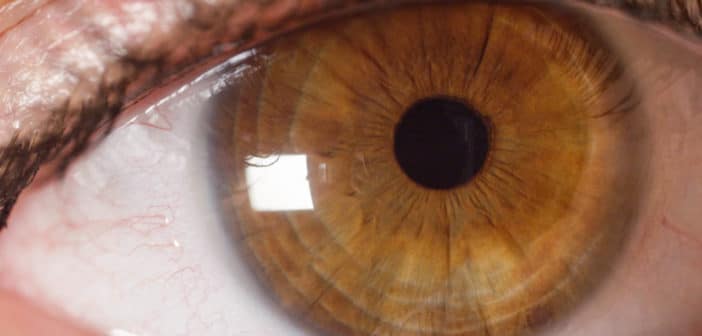 Consultation spécialisée